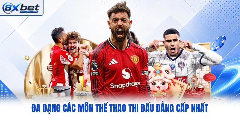 Đa dạng các môn thể thao thi đấu đẳng cấp nhất