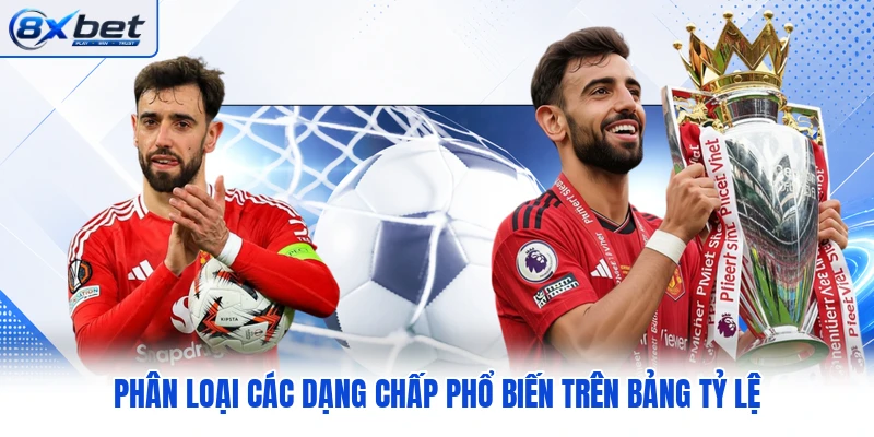 Phân loại các dạng chấp phổ biến trên bảng tỷ lệ Phân loại các dạng chấp phổ biến trên bảng tỷ lệ