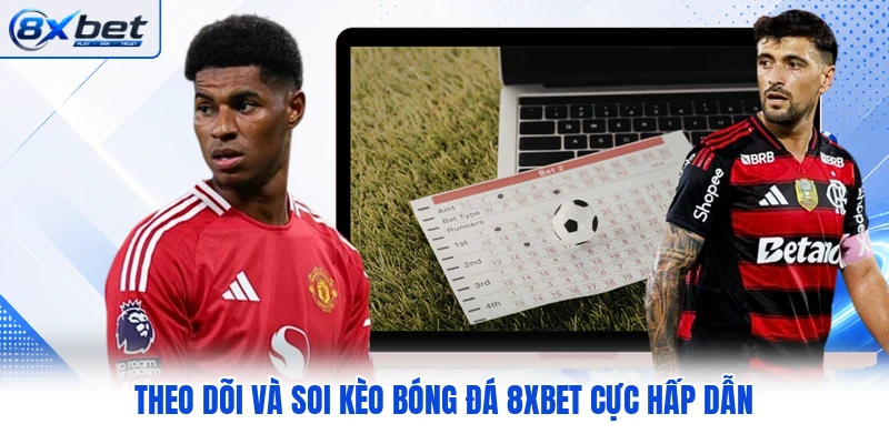 Theo dõi và soi kèo bóng đá 8XBET cực hấp dẫn Theo dõi và soi kèo bóng đá 8XBET cực hấp dẫn